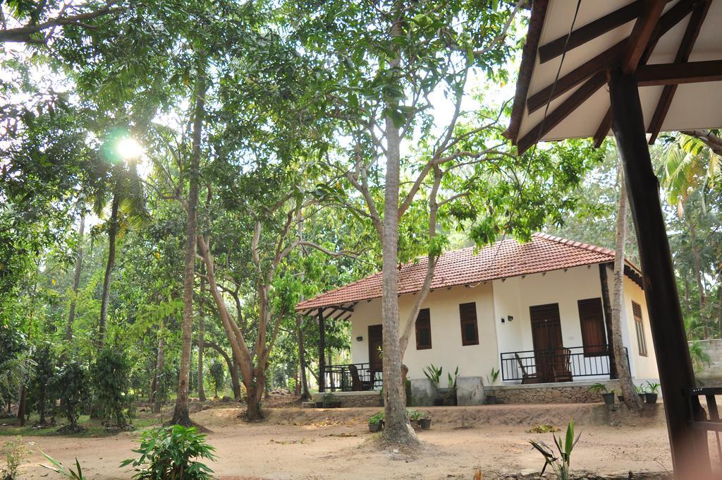 Soba Lanka Holiday Resort Melsiripura Εξωτερικό φωτογραφία