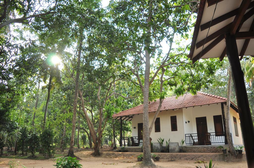 Soba Lanka Holiday Resort Melsiripura Εξωτερικό φωτογραφία