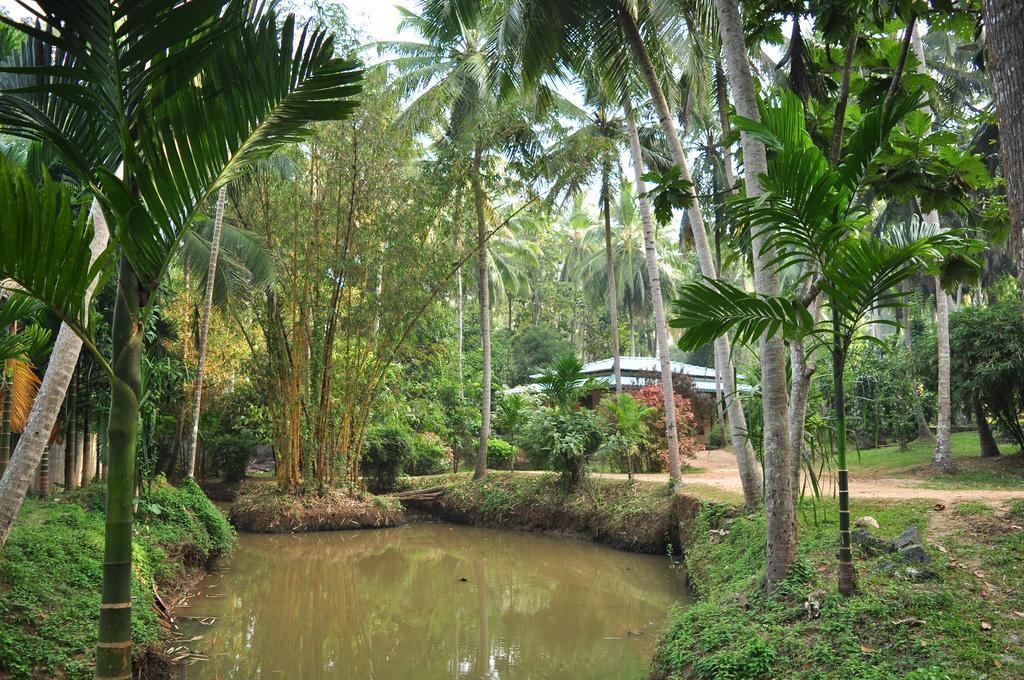 Soba Lanka Holiday Resort Melsiripura Εξωτερικό φωτογραφία