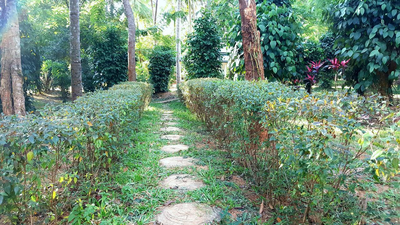 Soba Lanka Holiday Resort Melsiripura Εξωτερικό φωτογραφία