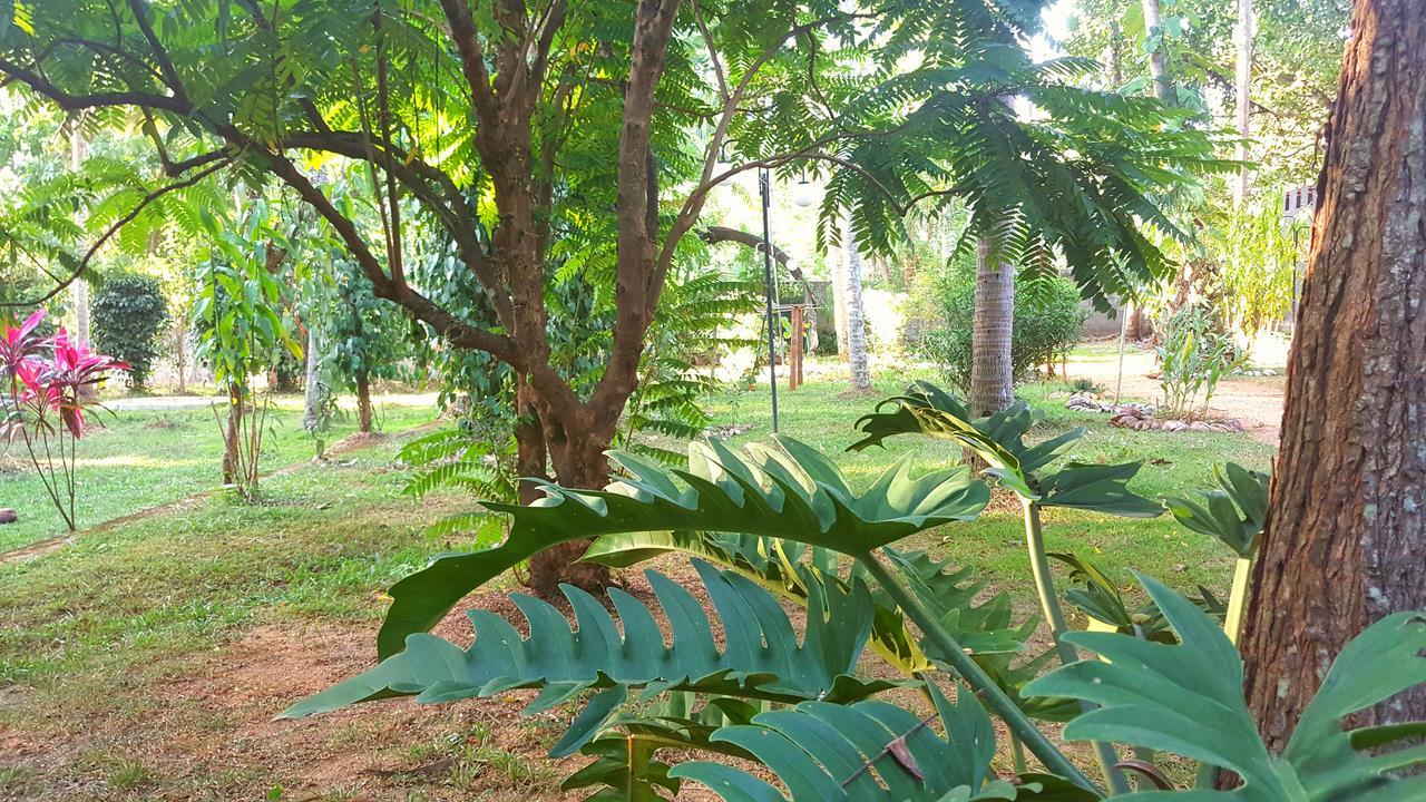 Soba Lanka Holiday Resort Melsiripura Εξωτερικό φωτογραφία