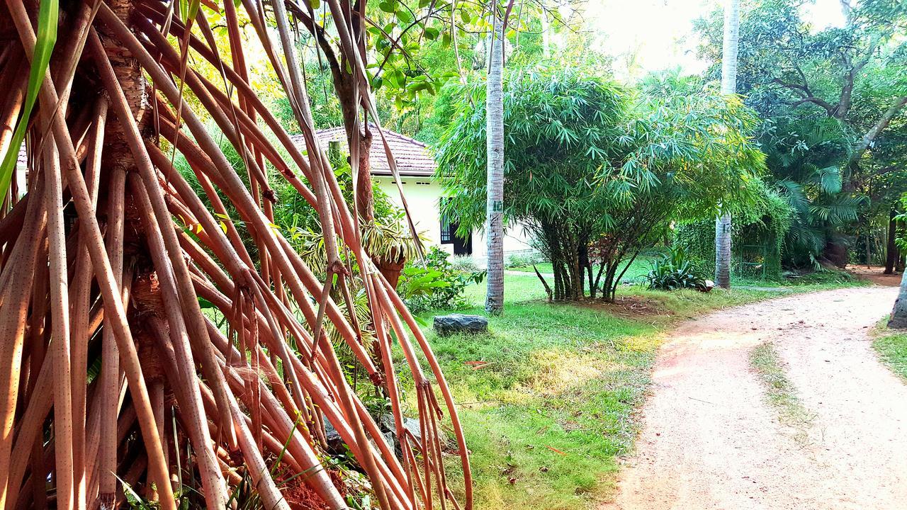 Soba Lanka Holiday Resort Melsiripura Εξωτερικό φωτογραφία