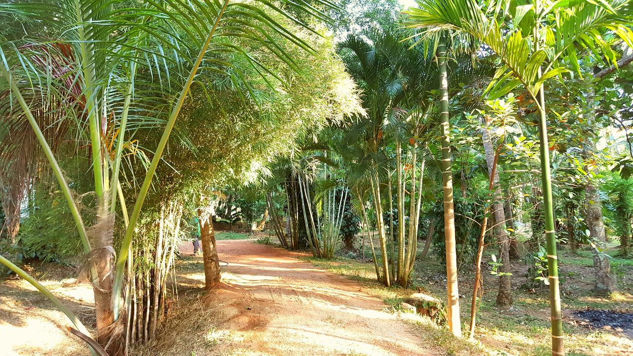 Soba Lanka Holiday Resort Melsiripura Εξωτερικό φωτογραφία