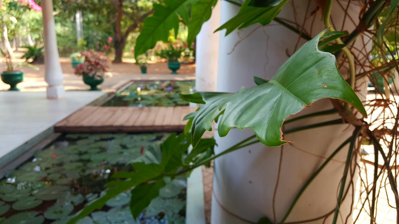 Soba Lanka Holiday Resort Melsiripura Εξωτερικό φωτογραφία