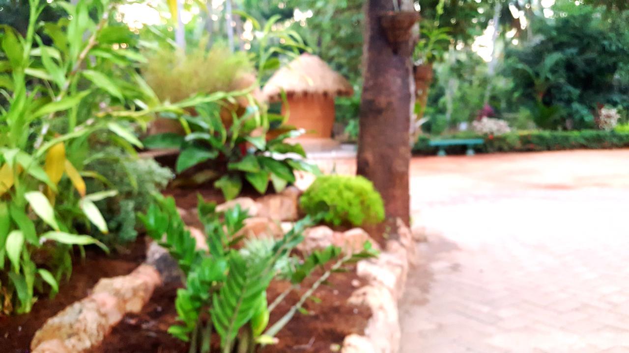 Soba Lanka Holiday Resort Melsiripura Εξωτερικό φωτογραφία