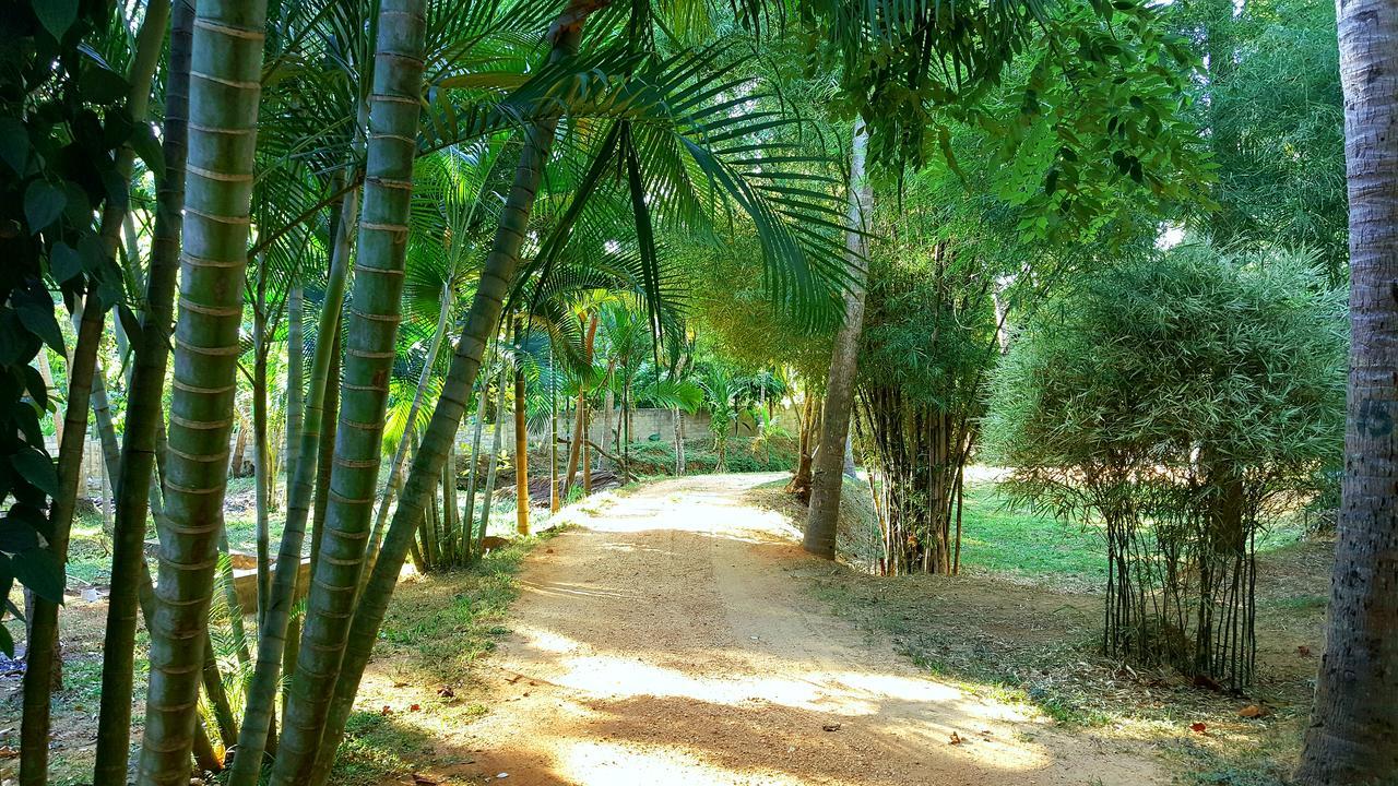 Soba Lanka Holiday Resort Melsiripura Εξωτερικό φωτογραφία