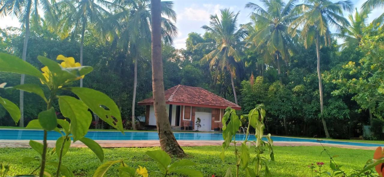 Soba Lanka Holiday Resort Melsiripura Εξωτερικό φωτογραφία